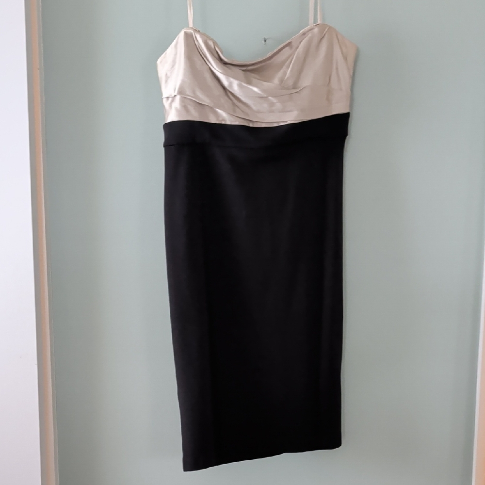BCBGMaxAzria Strapless Black and Cream Dress